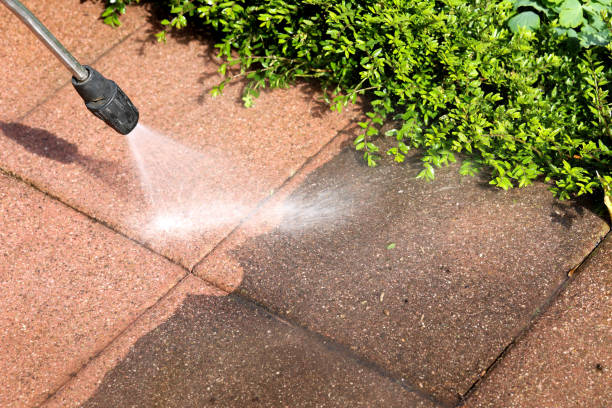 Best Roof Pressure Washing  in Absecon, NJ